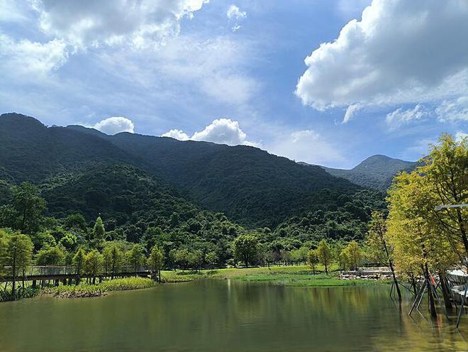 甘肃教育厅正核实“小蜜蜂老师”身份